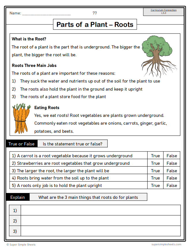 Grade 4 - Living Systems - Alberta Science - Lesson/Workbook Bundle