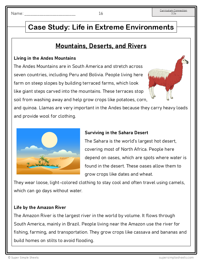 New York - Grade 3 Social Studies - FULL YEAR BUNDLE