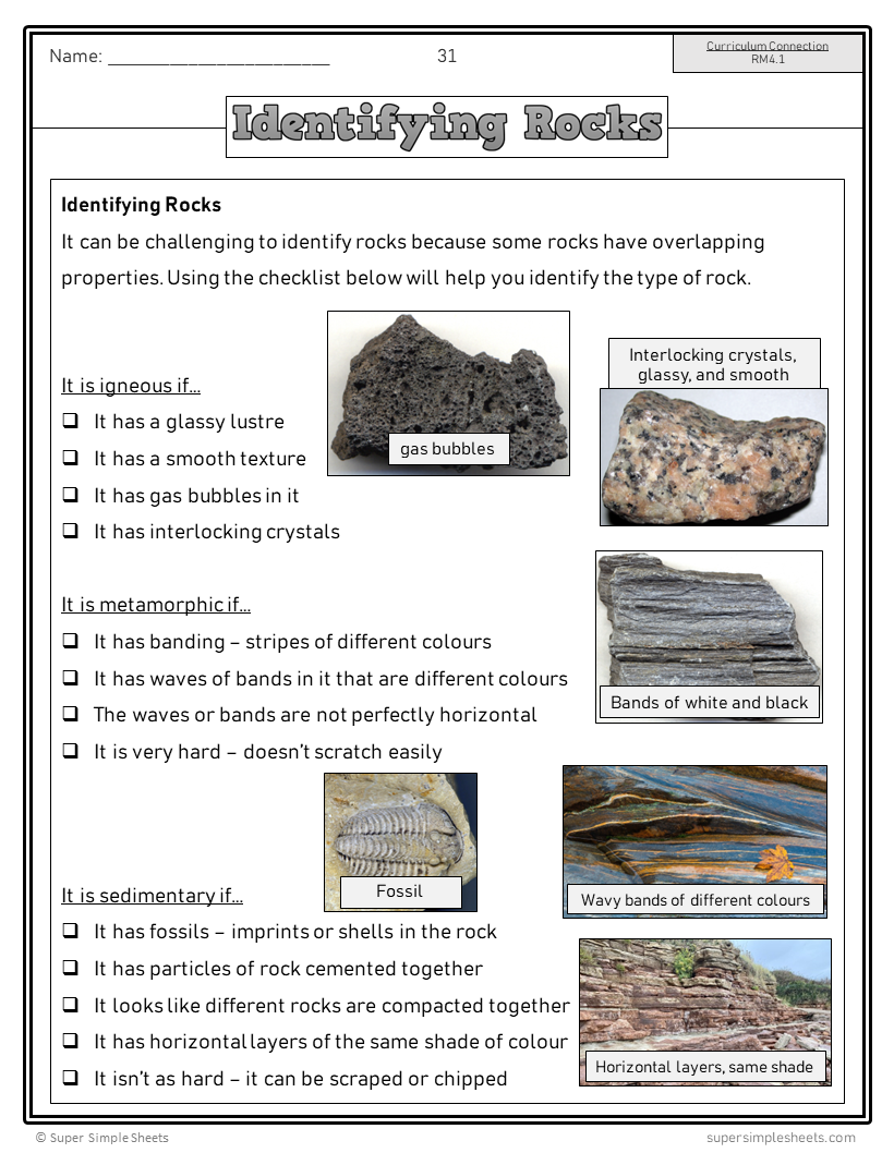 Saskatchewan Grade 4 Science - Full Year Bundle - GOOGLE/PDF INCLUDED