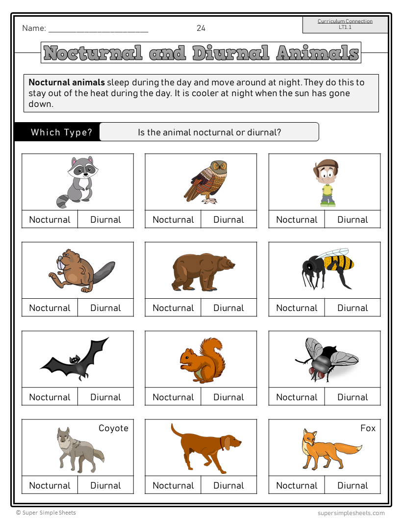 Saskatchewan Grade 1 Science - Full Year Bundle - GOOGLE/PDF INCLUDED