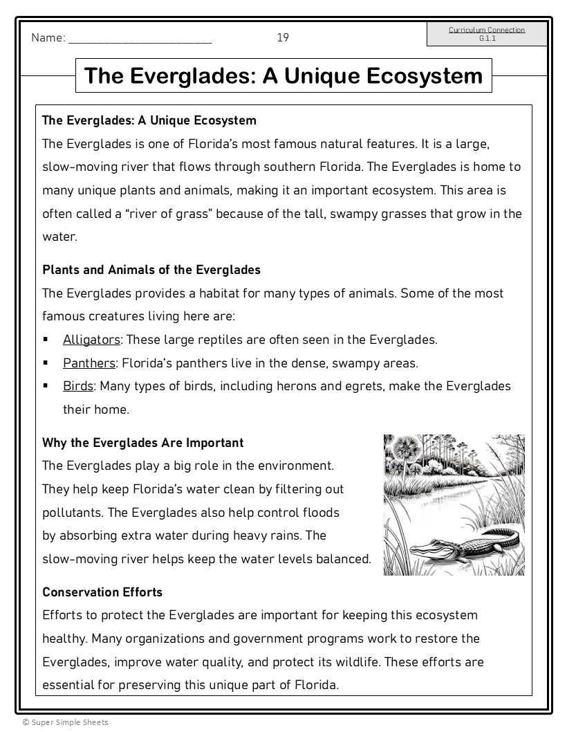 Florida - Grade 4 Social Studies - FULL YEAR BUNDLE