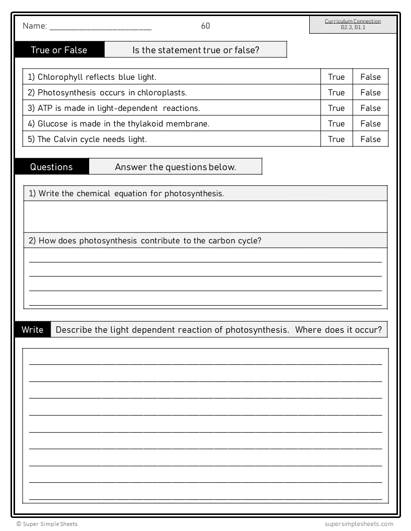 Ontario Grade 9 Applied Science Curriculum - STEM - Full Year Bundle