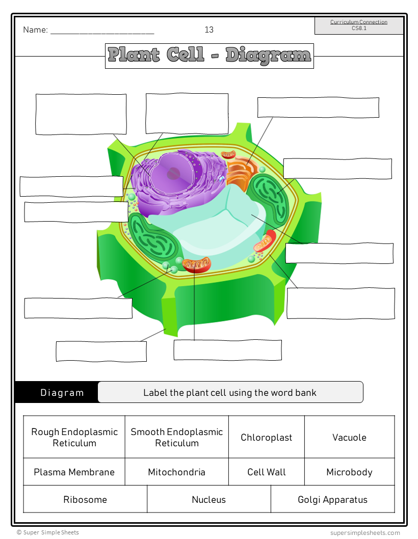 Saskatchewan Grade 8 Science - Full Year Bundle - GOOGLE/PDF INCLUDED