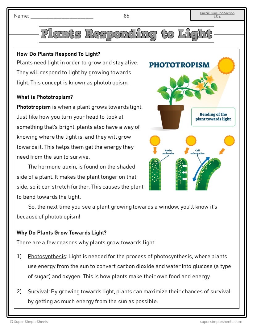 Science - Alberta Grade 4 - FULL YEAR BUNDLE - NEW 2023 Curriculum