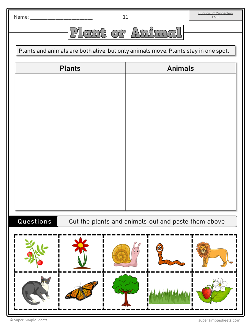 Alberta Grade 1 Science - Full Year Bundle - NEW 2023 CURRICULUM