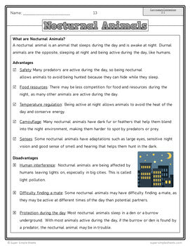BC Grade 4 Science Full Year Bundle