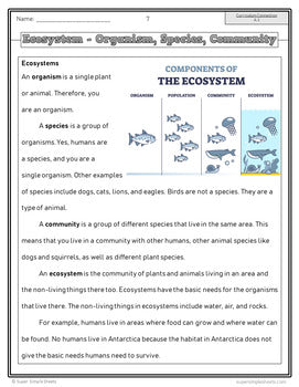 BC Grade 3 Science Full Year Bundle