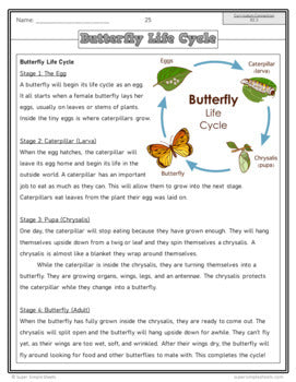 NEW 2022 Curriculum! Ontario Grade 2 Science Bundle - FULL YEAR BUNDLE
