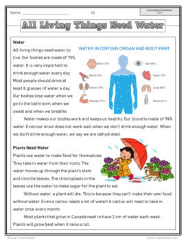 NEW 2022 Curriculum! Ontario Grade 2 Science Bundle - FULL YEAR BUNDLE
