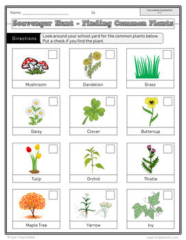 BC Grade 1 Science Full Year Bundle