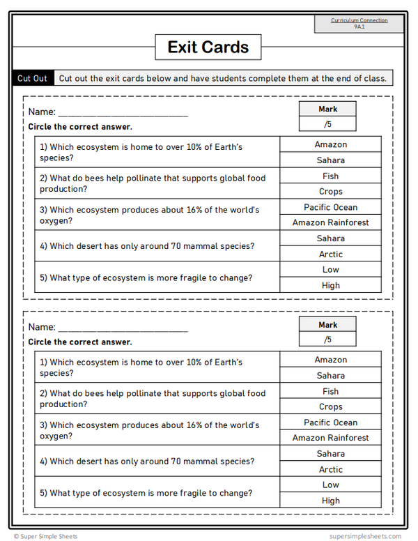 Grade 9 - Alberta Science - FULL YEAR BUNDLE – Super Simple Sheets
