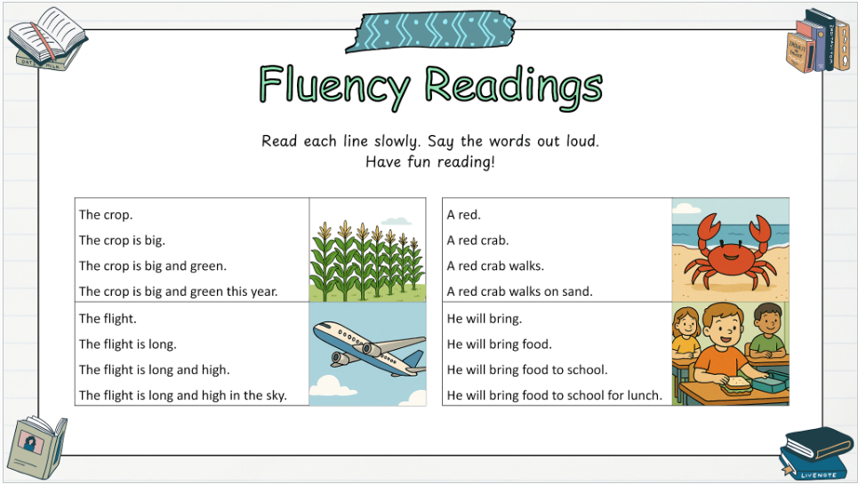 Grade 1 - Conventions & Vocabulary - BC Language - Lesson/Workbook Bundle