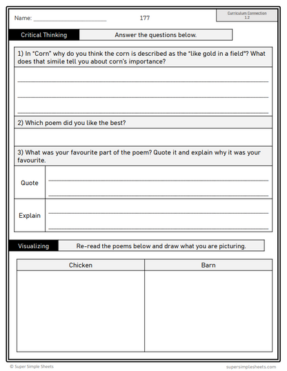 Grade 3 - Reading Comprehension - Manitoba Language - Lesson/Workbook Bundle