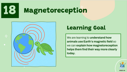 Grade 4 - Living Systems - Alberta Science - Lesson/Workbook Bundle