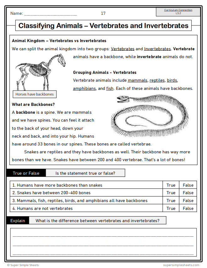 Grade 4 - Living Systems - Alberta Science - Lesson/Workbook Bundle