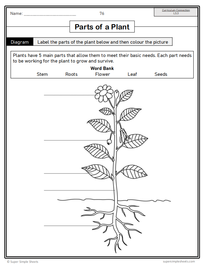 Grade 4 - Living Systems - Alberta Science - Lesson/Workbook Bundle