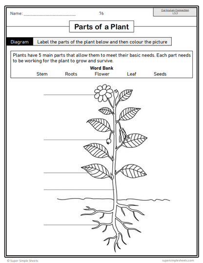 Grade 4 - Living Systems - Alberta Science - Lesson/Workbook Bundle