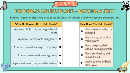 Grade 3 - Living Systems - Alberta Science - Lesson/Workbook Bundle