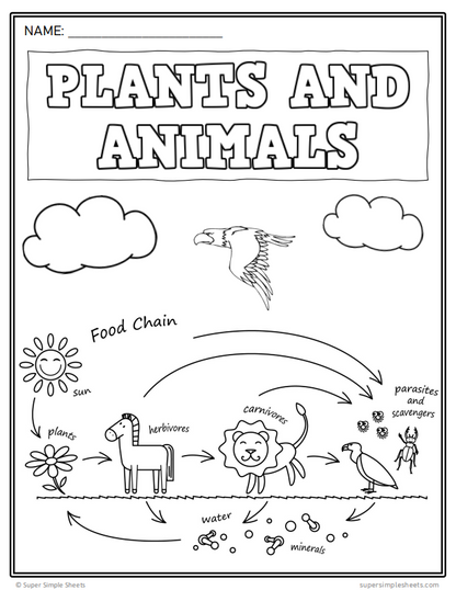 Grade 3 - Living Systems - Alberta Science - Lesson/Workbook Bundle