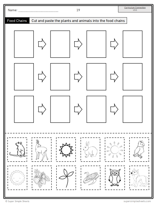 Grade 3 - Living Systems - Alberta Science - Lesson/Workbook Bundle