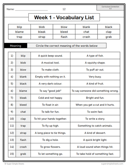 Grade 3 - Conventions & Vocabulary - Manitoba Language - Lesson/Workbook Bundle