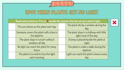 Grade 2 - Energy - Light and Sound - Alberta Science - Lesson/Workbook Bundle
