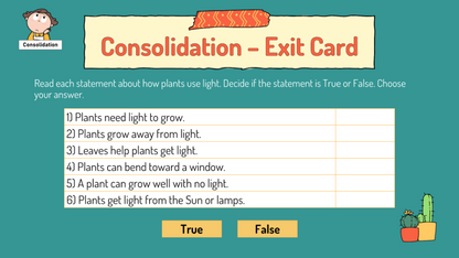 Grade 2 - Energy - Light and Sound - Alberta Science - Lesson/Workbook Bundle