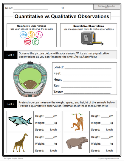 Grade 6 - Data Literacy and Probability - Ontario Math - Lesson/Workbook Bundle