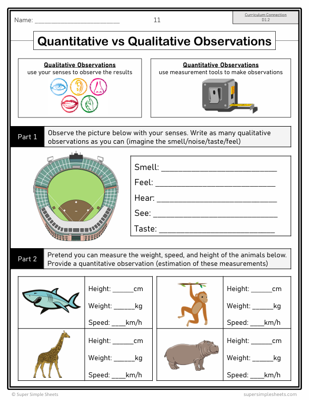 Grade 6 - Ontario Math - Full Year Bundle - New 2020 Curriculum