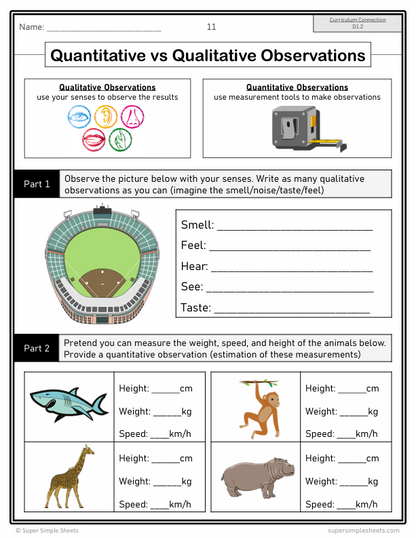 Grade 6 - Ontario Math - Full Year Bundle - New 2020 Curriculum