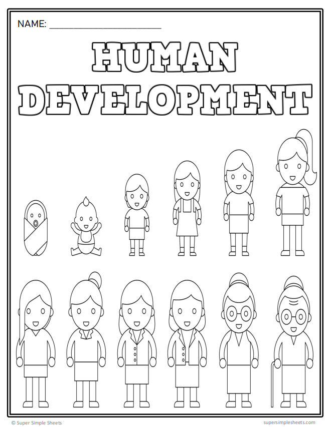 Grade 2 - Human Development and Sexual Health Unit - Ontario Health - Bundle