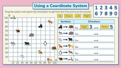 Grade 6 - Shape and Space Unit - Manitoba Math - Lesson/Workbook Bundle