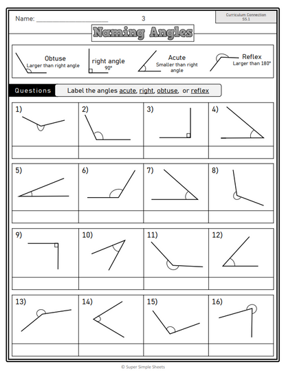 Grade 6 - Shape and Space Unit - Manitoba Math - Lesson/Workbook Bundle