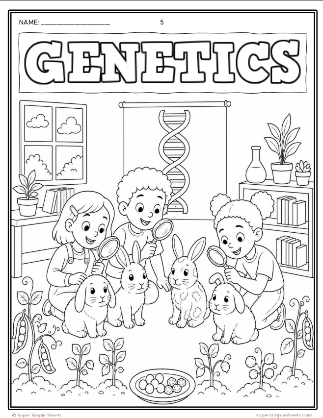 Grade 2 - NEW 2026 Manitoba Science Curriculum - FULL YEAR BUNDLE