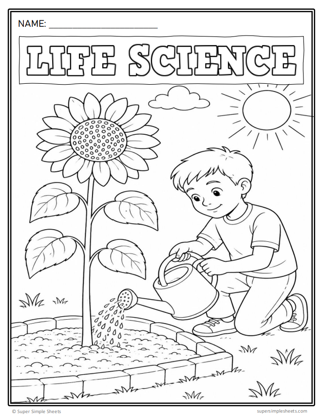 Grade 3 - NEW 2026 Manitoba Science Curriculum - FULL YEAR BUNDLE