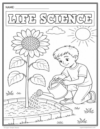 Grade 3 - NEW 2026 Manitoba Science Curriculum - FULL YEAR BUNDLE