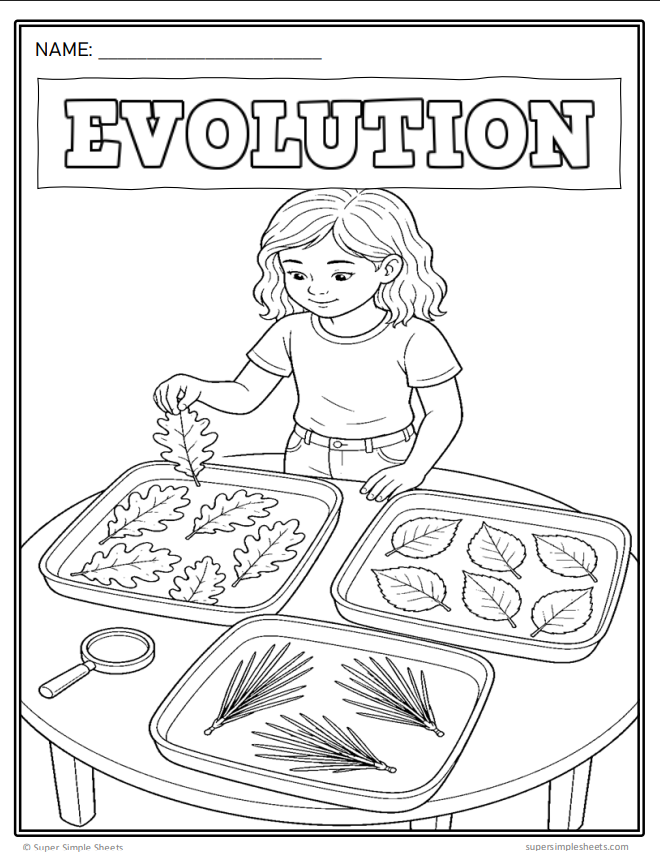 Grade 3 - NEW 2026 Manitoba Science Curriculum - FULL YEAR BUNDLE