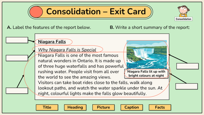 Grade 2 - Ontario Language - Google Lesson Slides - Full Year Bundle