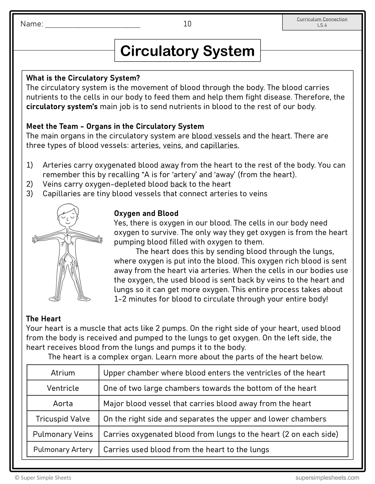 Grade 5 - Living Systems: Internal Body Systems - Alberta Science - Lessons/Workbook Bundle