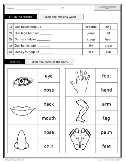 Kindergarten - Alberta Health and Wellness - Lessons/Workbook Mega Bundle