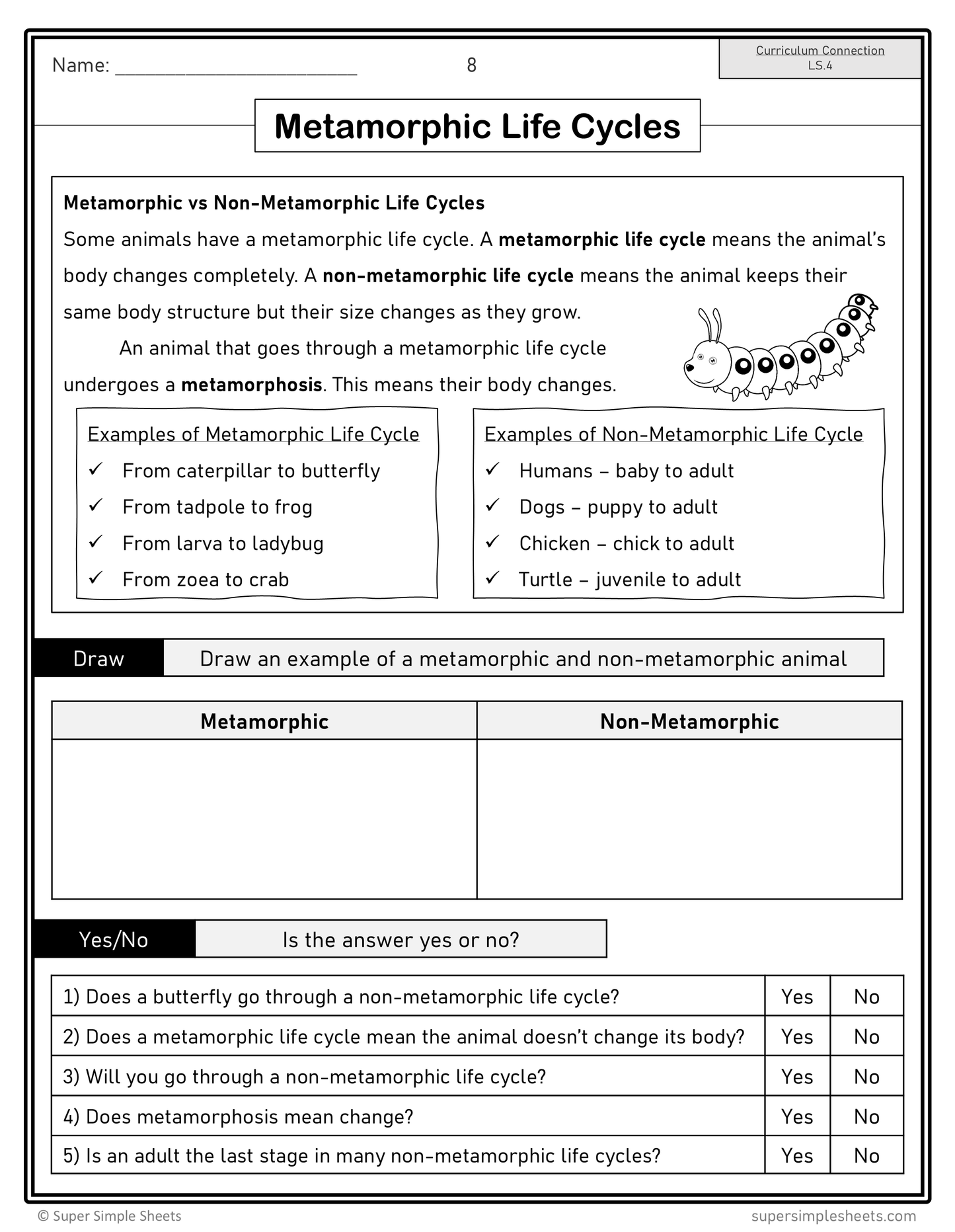 Grade 2 - Living Systems - Alberta Science - Lesson/Workbook Bundle