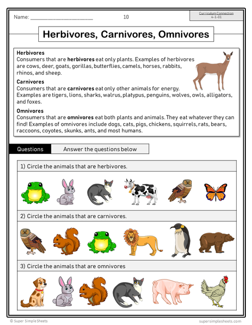 Science - Manitoba Grade 4 - Full Year Bundle – Super Simple Sheets