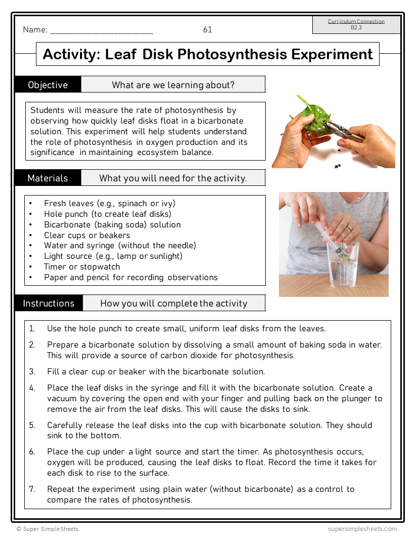 Ontario Grade 9 Applied Science Curriculum - STEM - Full Year Bundle ...