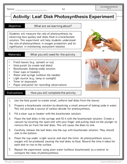 Ontario Grade 9 Applied Science Curriculum - STEM - Full Year Bundle
