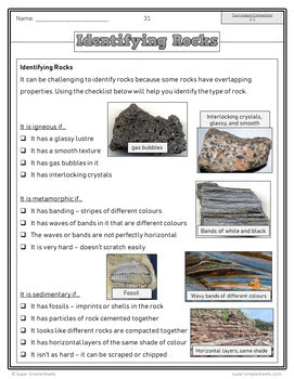 BC Grade 5 Science Full Year Bundle