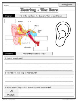 BC Grade 4 Science Full Year Bundle – Super Simple Sheets