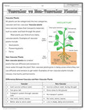 NEW 2022 Curriculum! Ontario Grade 6 - Science - Full Year Bundle - GOOGLE/PDF