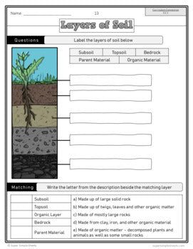 NEW UPDATED 2022! - Ontario Grade 3 Science - Full Year Bundle - GOOGLE/PDF