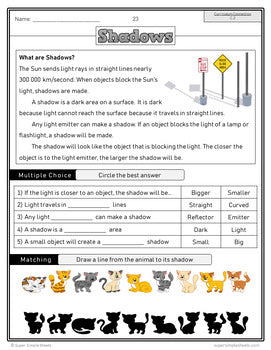 BC Grade 1 Science Full Year Bundle